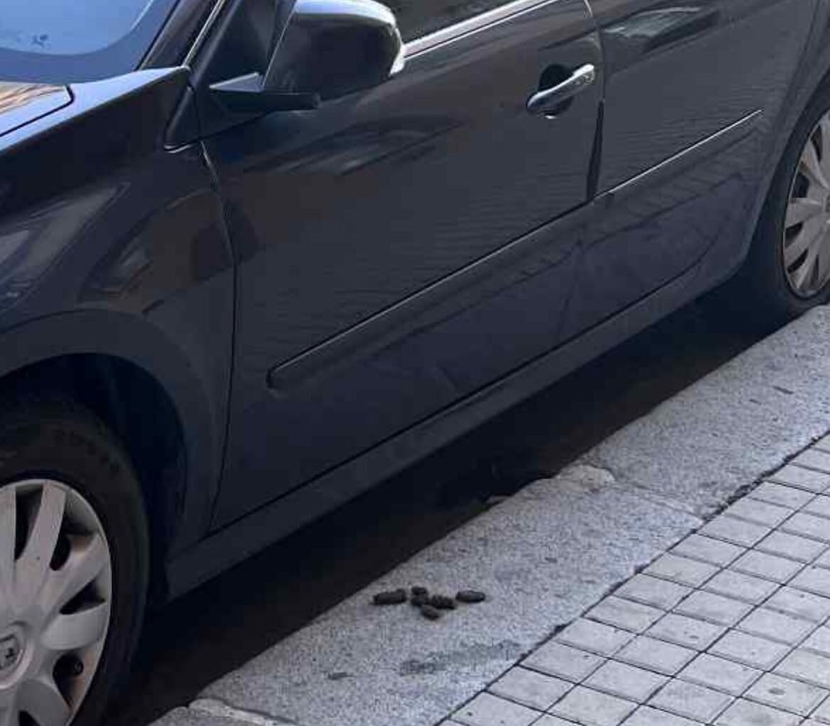 Nepopulární názor