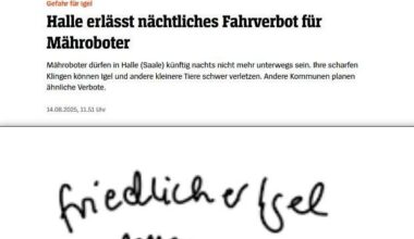 ich_iel