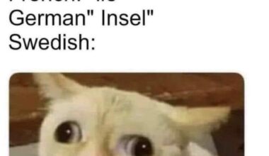 Ö