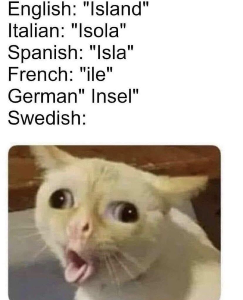 Ö