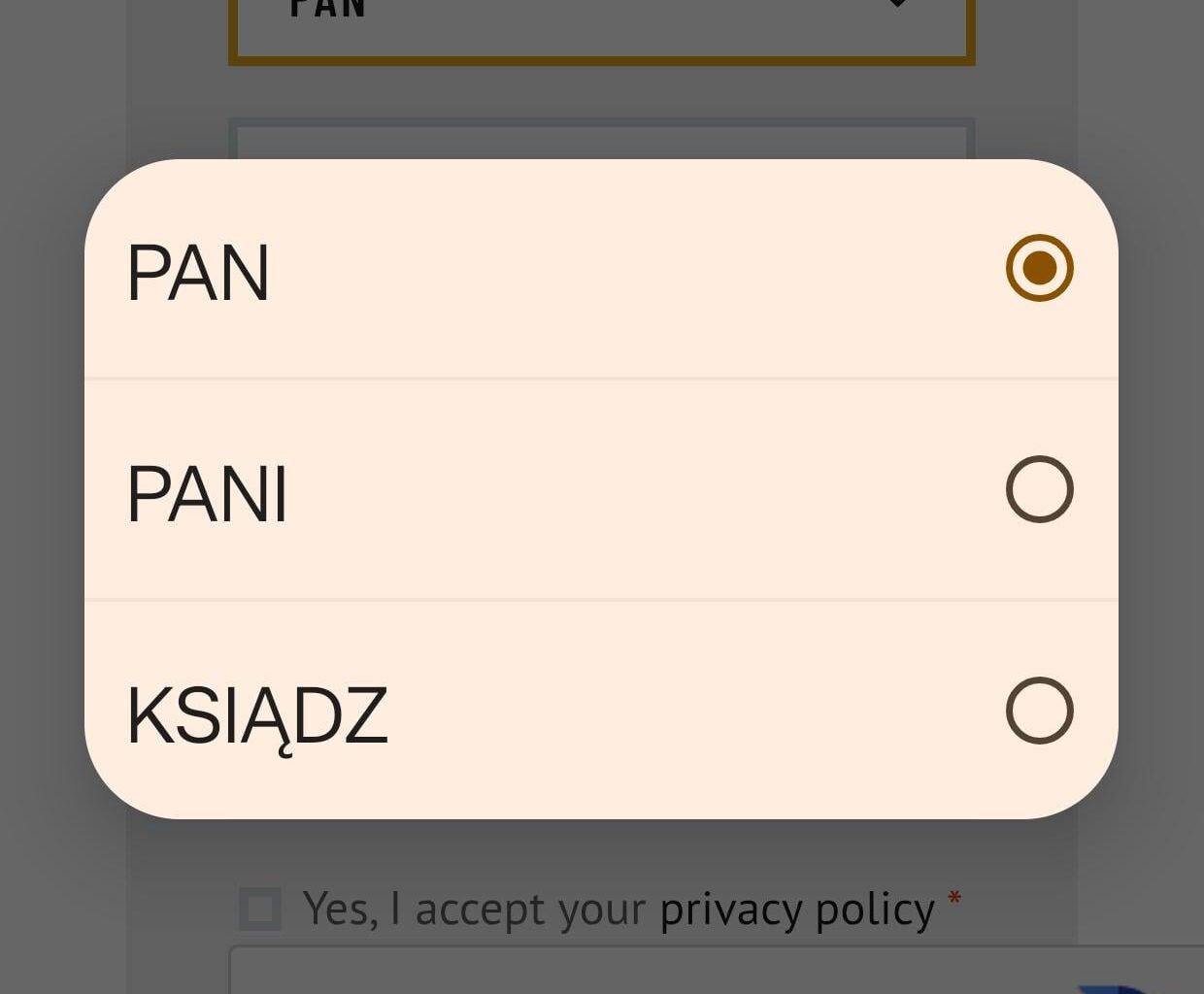 Od kiedy ksiądz jest zaimkiem?