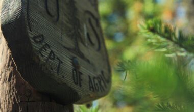 The Forest Service Wants to Hear from You About its Staffing and Reorganization Plan - Comments only accepted until Aug 26th