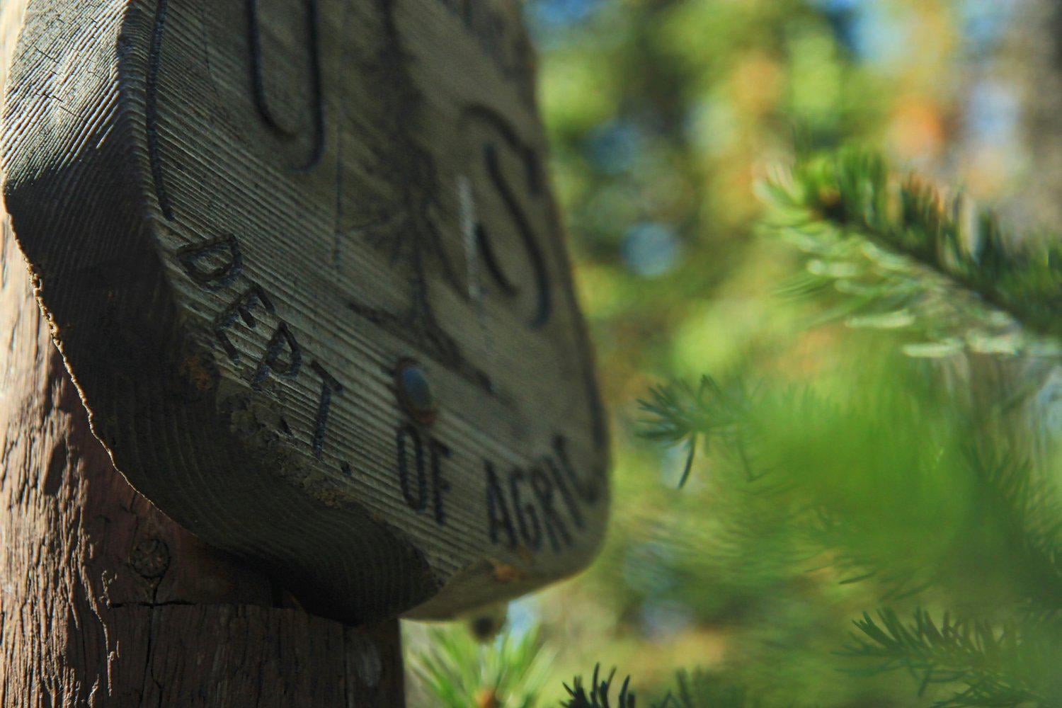 The Forest Service Wants to Hear from You About its Staffing and Reorganization Plan - Comments only accepted until Aug 26th