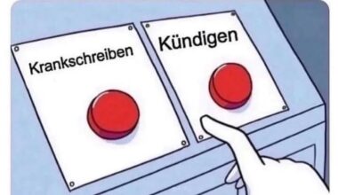 Die Qual der Wahl