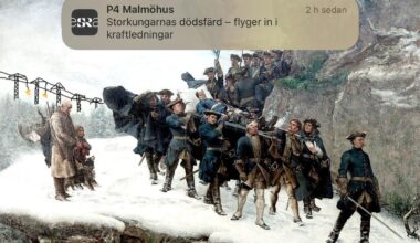 Stor-kungar eller stork-ungar?