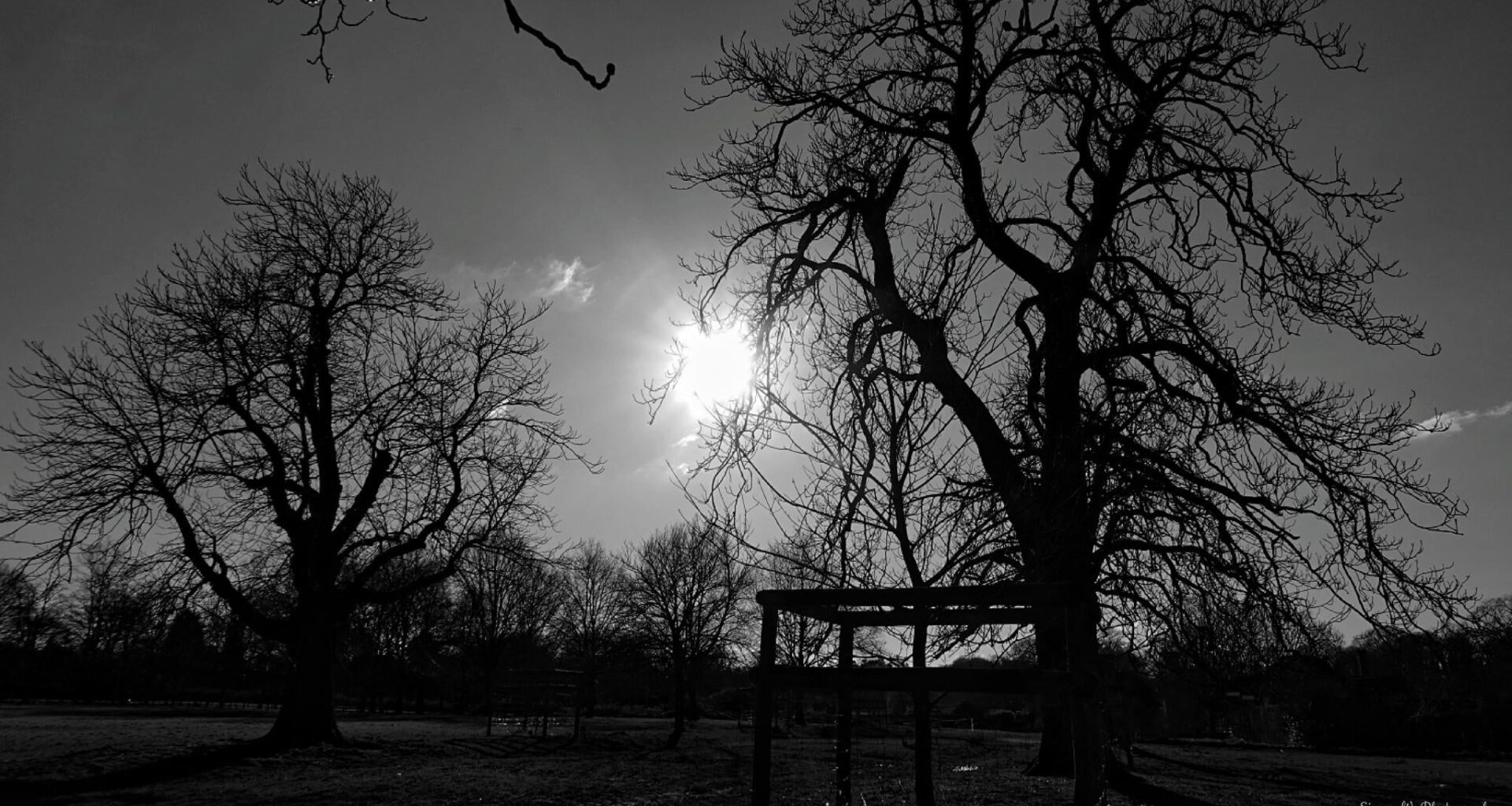An amazing sunset at [NT] Packwood House.