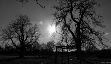 An amazing sunset at [NT] Packwood House.