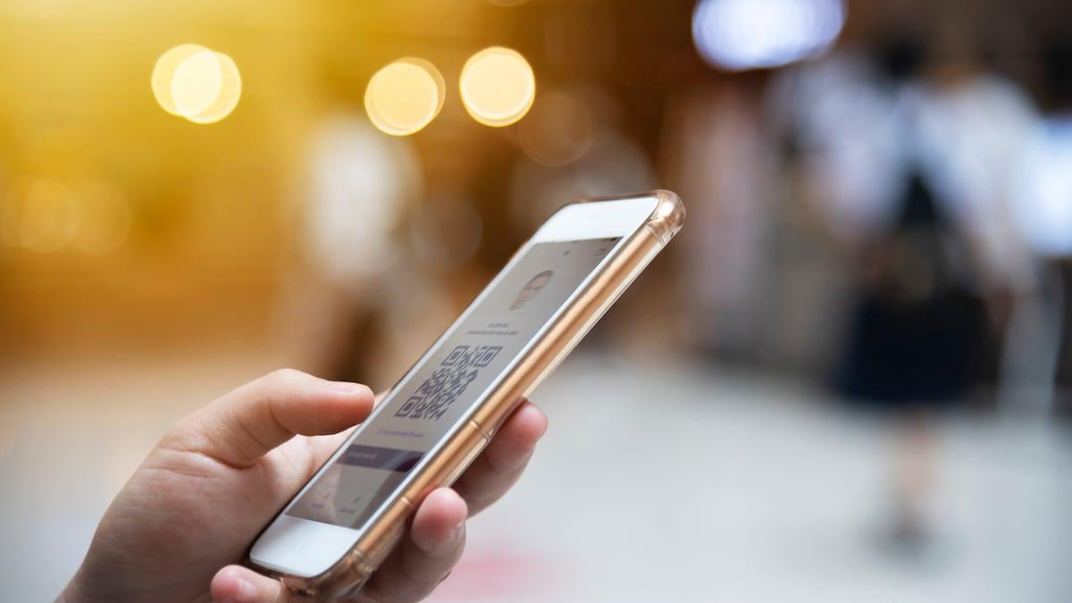 Politikere kritiserer ministeries app, før den er blevet lavet: Frygter 'overvågningsregime' - Digitaliseringsministeriet kommer næste år med en app, der skal fungere som en slags digital tegnebog til aldersverificering på blandt andet pornosider