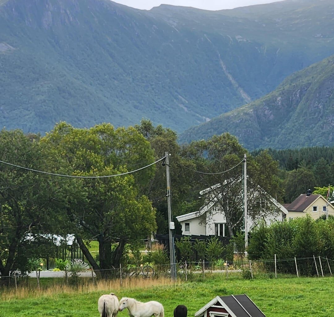 Norway, you were everything i imagined.