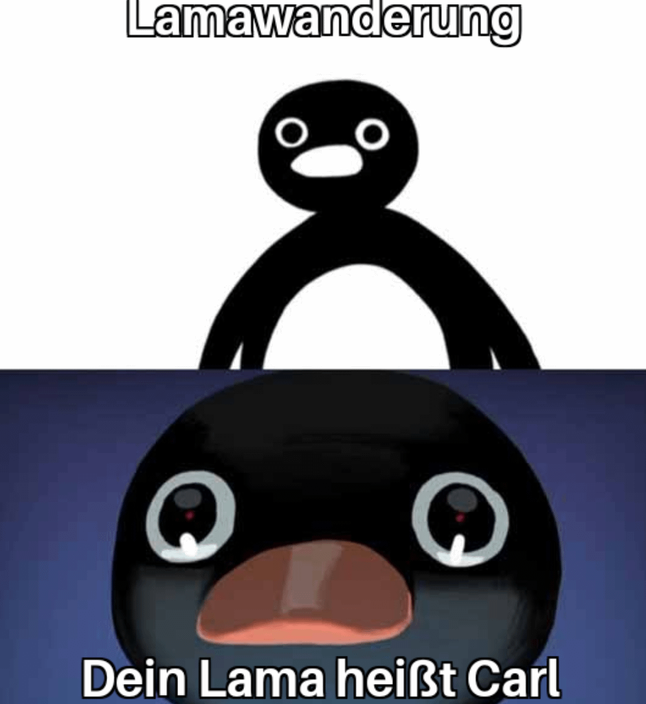 Ich🦙iel