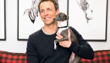 Seth Meyers mourns death of dog Frisbee: 'Thanks for 14 amazing years'