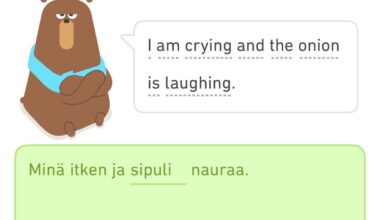 When someone asks how my Finnish language is going?
