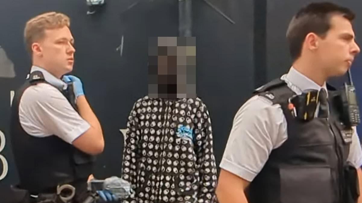 Chaos at Canary Wharf migrant hotel as protesters claim migrant entered woman's home - but police let him go