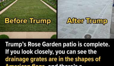 Make Rose Gardens Concrete Again.