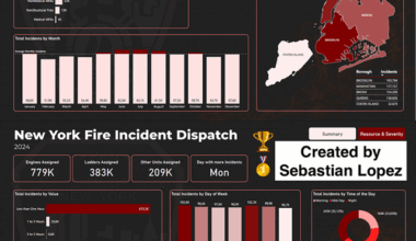 Data Viz Contest Results - FDNY Incidents for 2024