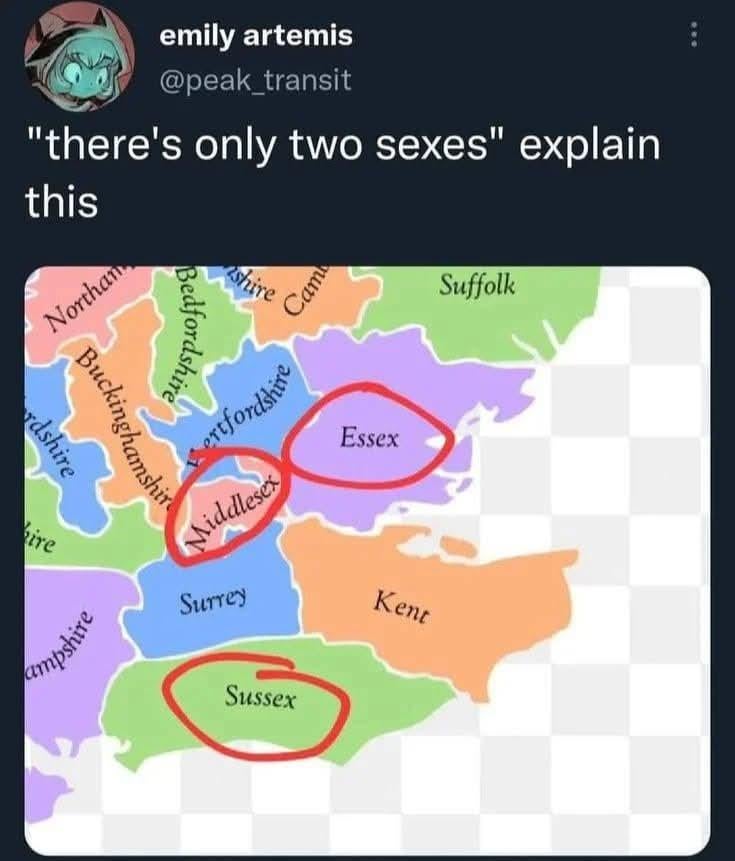Explain this
