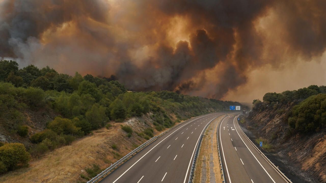 Latest heatwaves, droughts, floods could cost Europe…