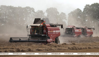Over 9m tonnes of grain threshed in Belarus