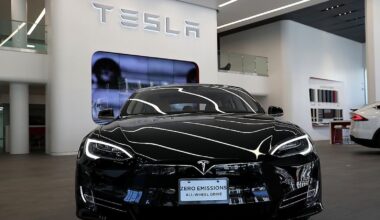 Revenues at Tesla Ireland slump by 18% in 2024