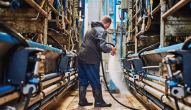 how pension gap keeps older farmers at work