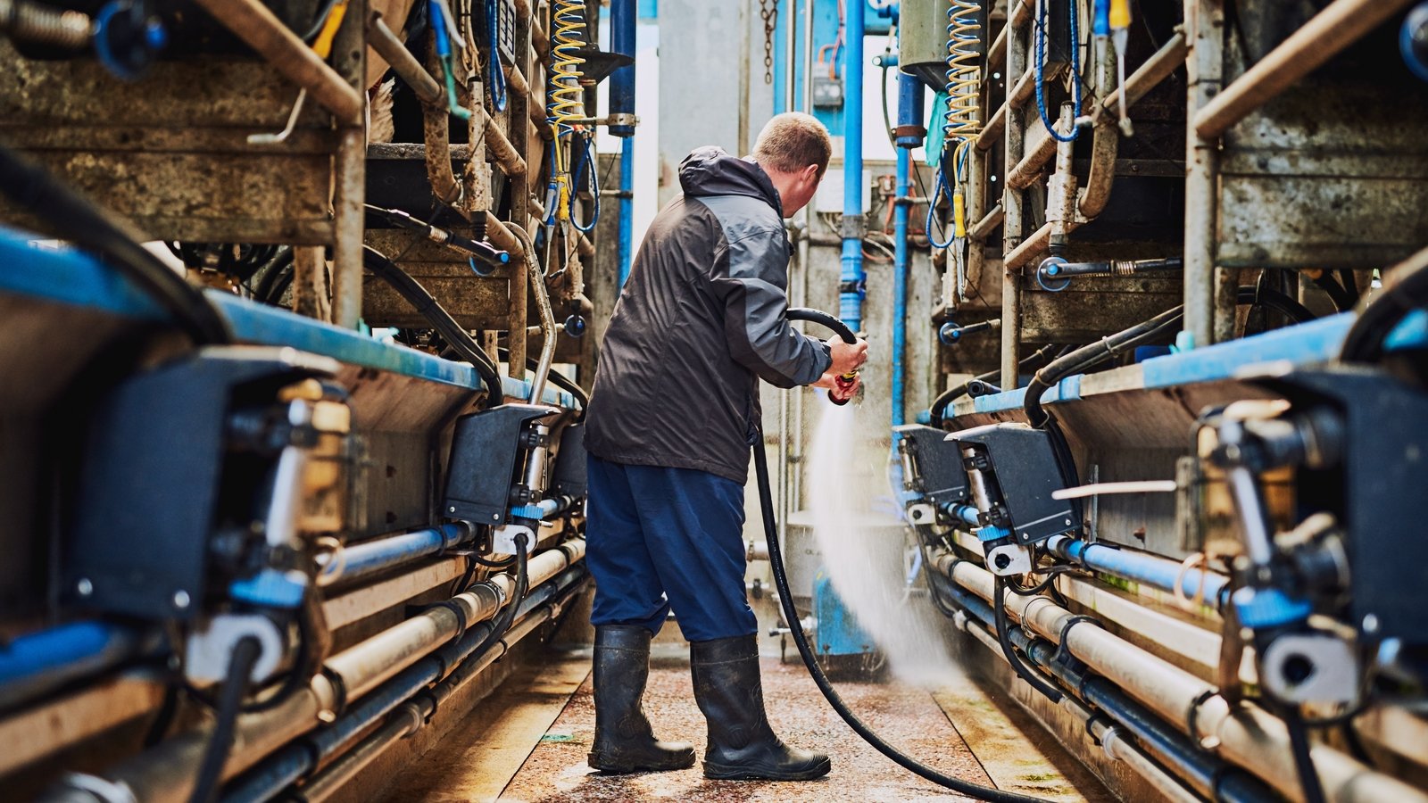 how pension gap keeps older farmers at work