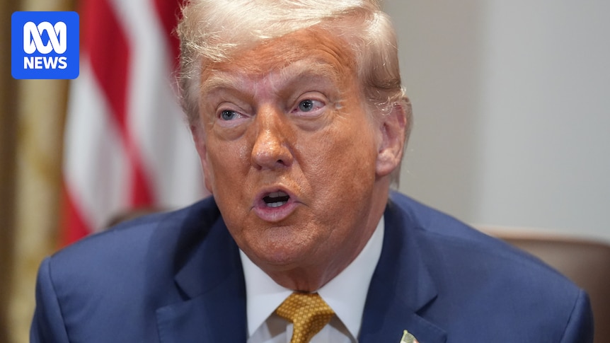 Albanese and Trump had 'constructive' talk on trade and security, PM says