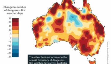 AX Extends Global Leadership in Wildfire Detection Technology Deployment within Australia