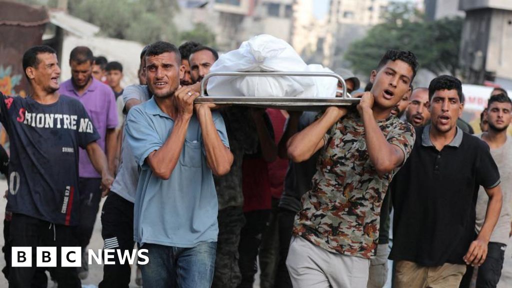 Israel committing genocide in Gaza, world's leading experts say