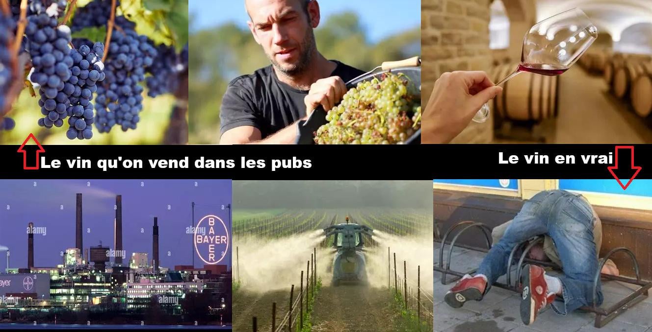 Boire un petit coup c'est agréable