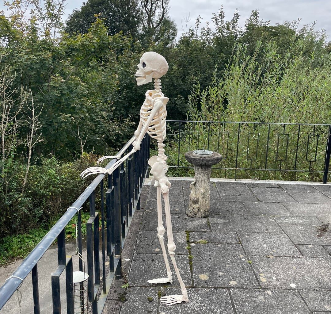 Bought a skeleton from Sainsbury’s. I regret nothing.