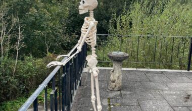 Bought a skeleton from Sainsbury’s. I regret nothing.