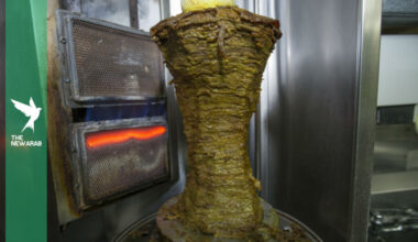 Ankara skewers kebab claim ending German-Turkish doner war