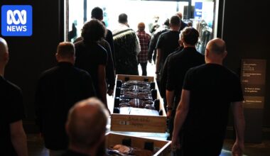 Māori wooden carvings at SA Museum repatriated to New Zealand