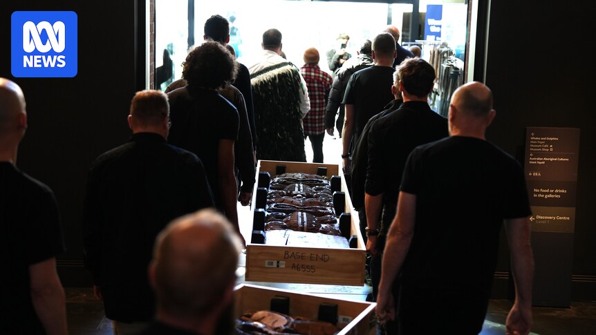 Māori wooden carvings at SA Museum repatriated to New Zealand