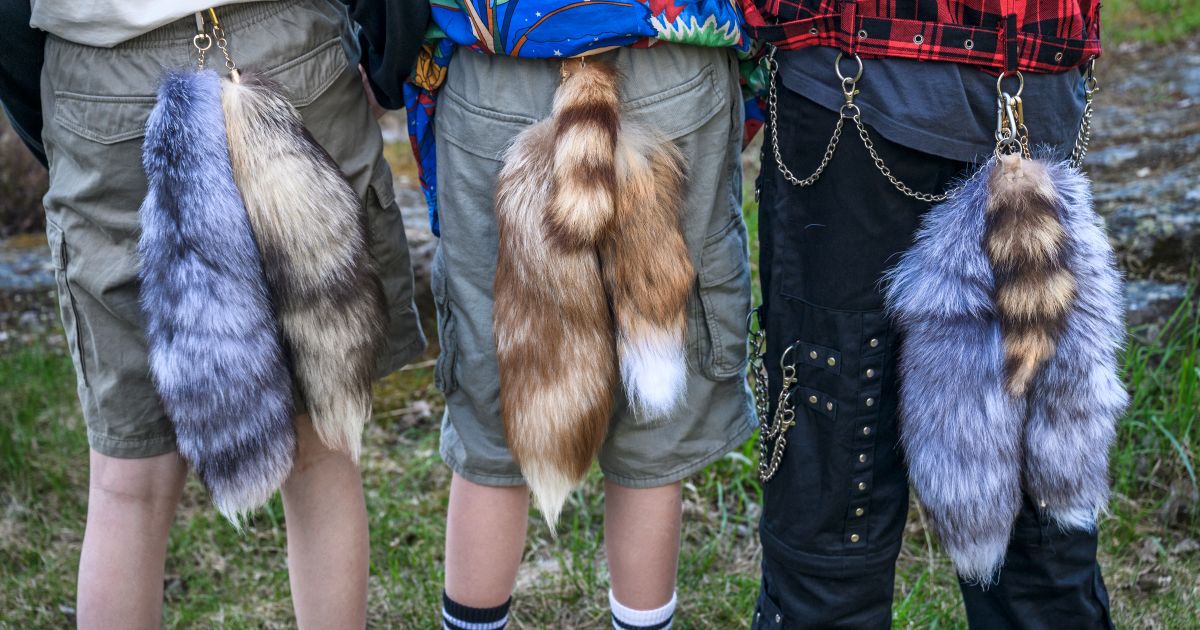 Elever i Midsommarkransen uppmanas lämna svansar och Labubus hemma
