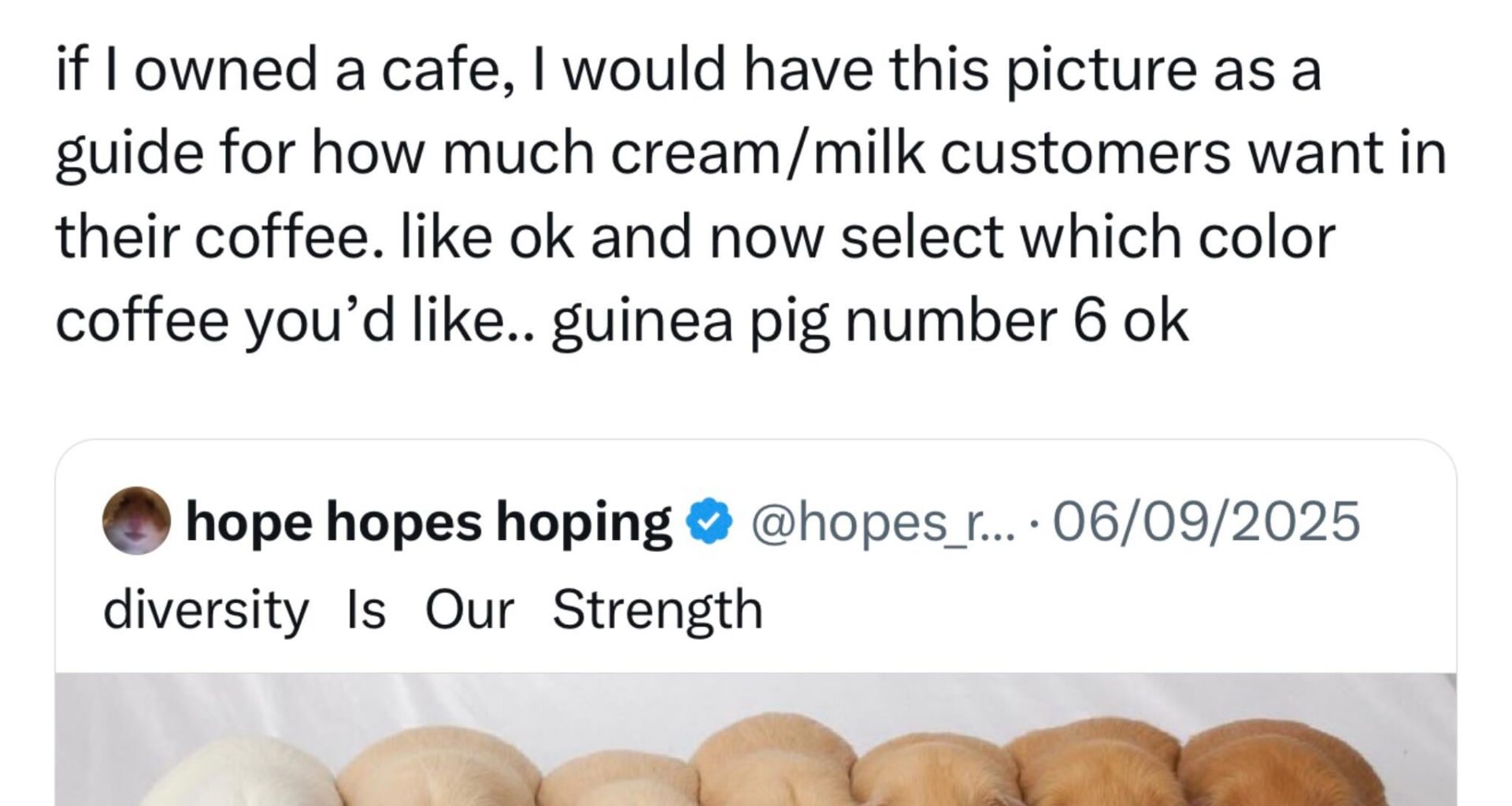 Genius.
