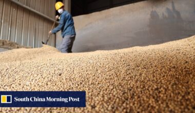 China prepares for long US soybean stand-off with huge Brazilian imports