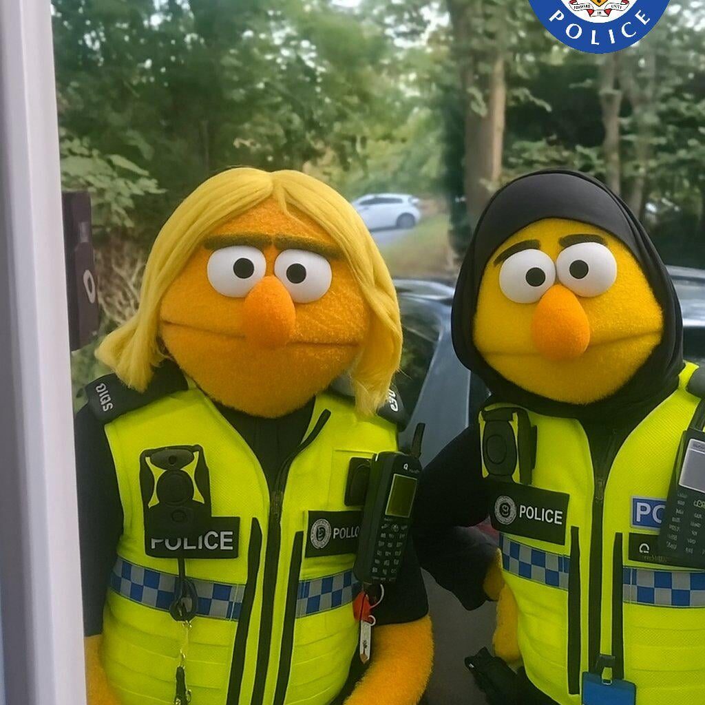 These two just knocked on your door asking for your loiscence wyd?
