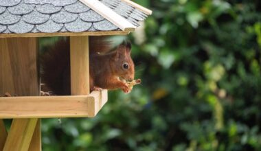 Da habe ich mein täglicher Gartenbesuchet beim dreisten Diebstahl des Vogelfutters erwischt.