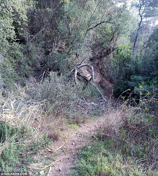His body was discovered around 7pm on Tuesday by a man walking in woods near a residential estate just outside Lloret de Mar's town centre