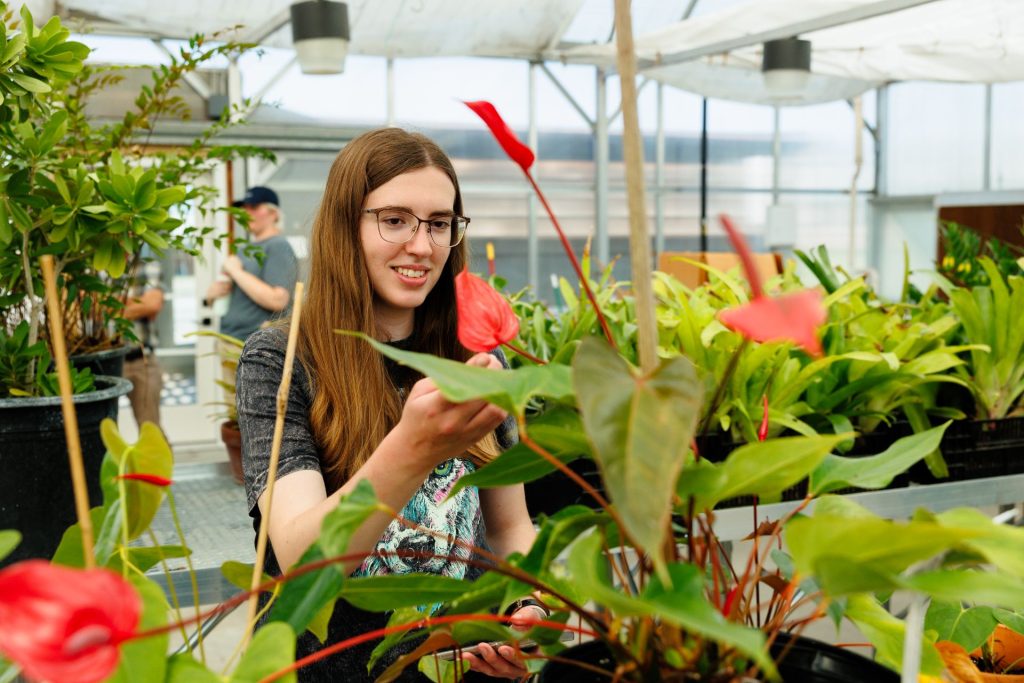 a person looking at a flower in a greenhouse