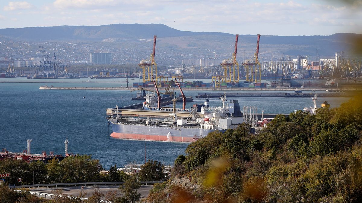 Loopholes in ship flagging system undermine sanctions on Russia, Iran and North Korea – report