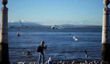 More than half of EU's waters in poor ecological state – EEA report