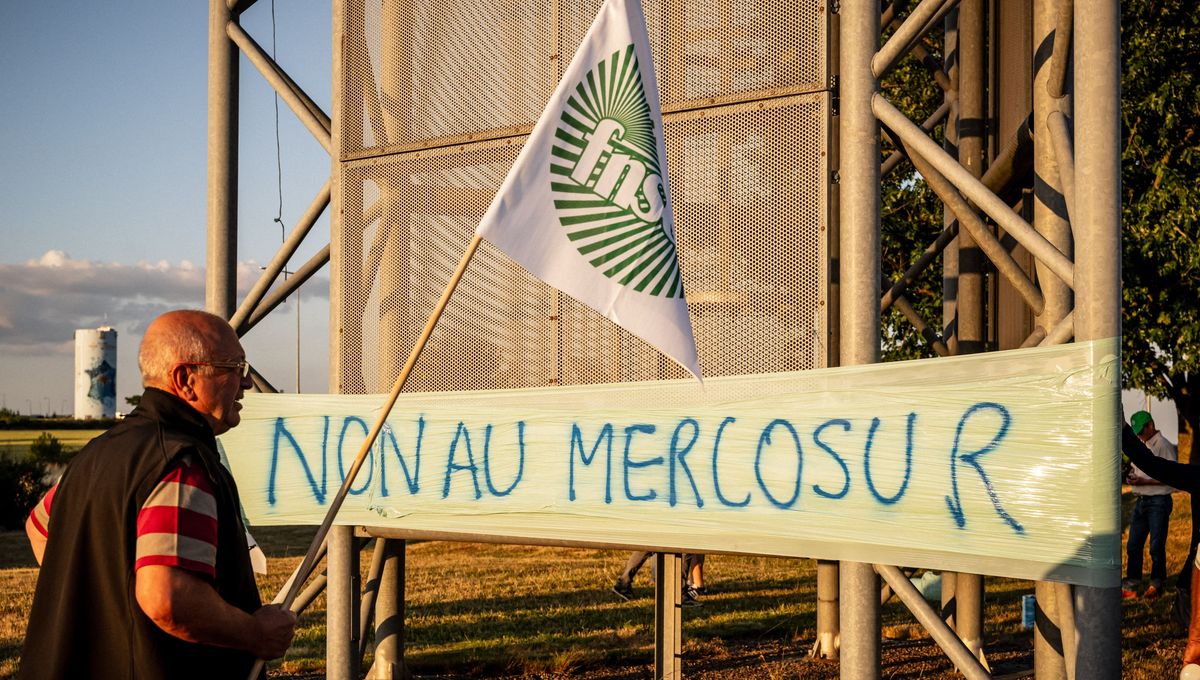 Mercosur : la Commission européenne valide l'accord commercial controversé, la France dit qu'on a entendu ses "réserves"