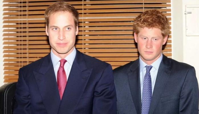 Unseen photos reveal tense moments between Prince William and Prince Harry