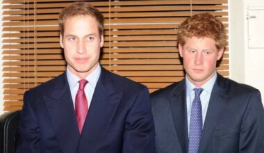 Unseen photos reveal tense moments between Prince William and Prince Harry