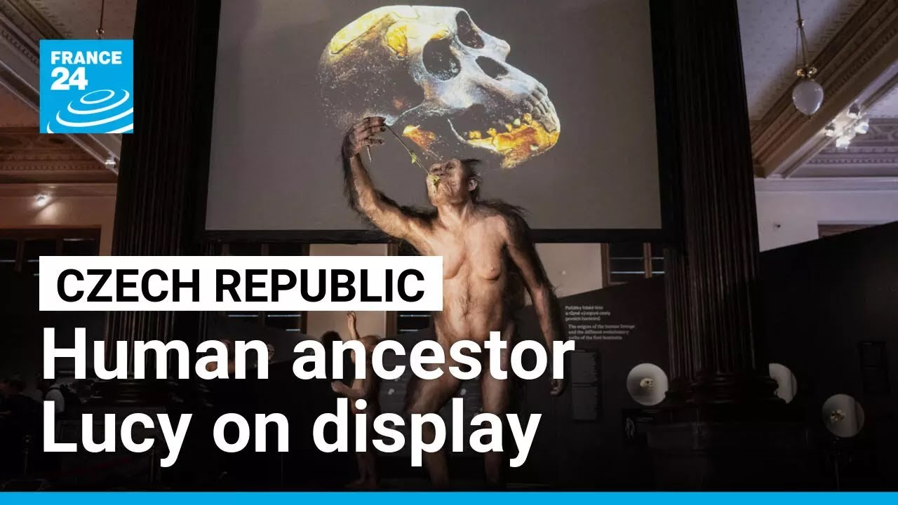 Human ancestor Lucy gets first European showing in Prague • FRANCE 24 English