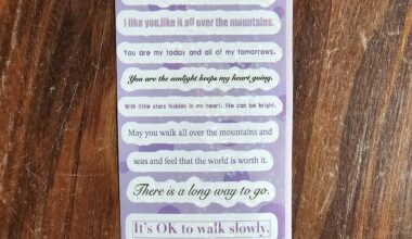 4yo son got these stickers in a birthday goody bag yesterday. They get progressively more unhinged as you go down...