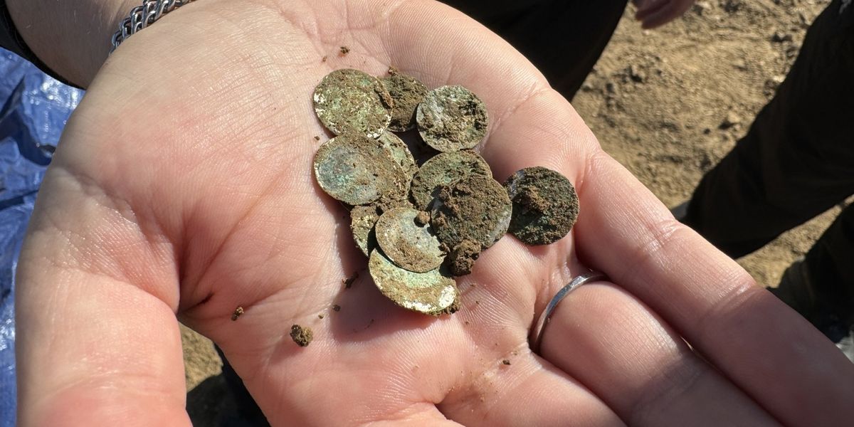 Treasure accidentally discovered on a walk dubbed 'one of the greatest finds of the last decade'