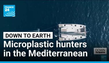 Is the Mediterranean turning into plastic soup? • FRANCE 24 English